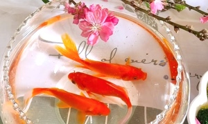 Vì sao chỉ cá chép mới đưa được Táo quân về trời?