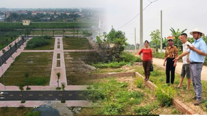 Giá đất nền ven Hà Nội tăng mạnh 200 triệu đồng/m², chuyên gia cảnh báo gì?