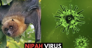 WHO xác nhận ca tử vong do virus Nipah ở Bangladesh