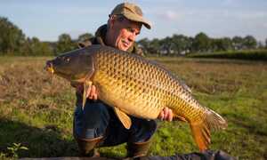 Vì sao người Mỹ không chuộng ăn cá chép?