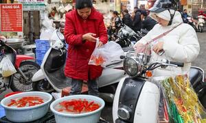 Chúng ta đang hiểu sai về Tết 23 tháng Chạp: Không phải ông Công ông Táo, mà là cúng thần bếp