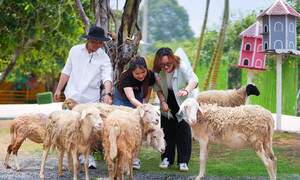 Trải nghiệm du lịch nông nghiệp giữa đô thị nhộn nhịp trong mùa Tết