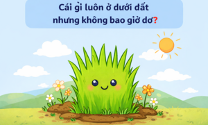 Cái gì luôn ở dưới đất nhưng không bao giờ bẩn?