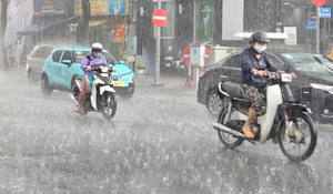 Dự báo thời tiết ngày 12/2: Miền Bắc mưa phùn và sương mù, miền Nam mưa trái mùa