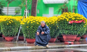 Hoa Tết ở Quy Nhơn đông người bán vắng người mua, tiểu thương đội mưa chờ khách