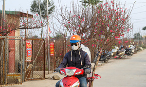 Dự báo thời tiết 10 ngày: Miền Bắc đón không khí lạnh, Hà Nội hứng mưa dịp Tết