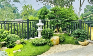 Bí quyết thiết kế tiểu cảnh sân vườn hài hòa và bền vững theo thời gian