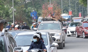 Những lỗi vi phạm giao thông dễ mắc khi đi xe trong dịp Tết và mức phạt