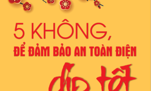 EVN sẵn sàng đảm bảo cung cấp điện trong dịp Tết Nguyên đán Bính Ngọ 2026