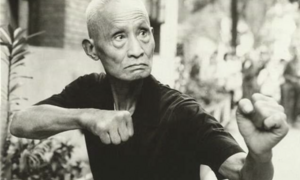 Huyền thoại võ lâm Trung Quốc thông thạo văn chương, dùng chưởng pháp cứu người