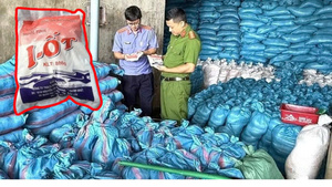 Sản xuất 5 tấn muối I-ốt giả mỗi ngày: Hàng nghìn gia đình có thể đã ăn phải