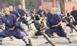 Robot hình người gây sốt khi biểu diễn võ thuật tại Thiếu Lâm Tự