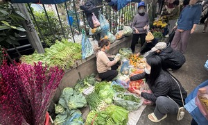 Gần Tết Nguyên đán, rau xanh đứng giá, thịt cá nhích nhẹ