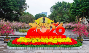 Du khách nô nức check-in không gian hoa xuân Lý Thái Tổ ngày đầu mở cửa