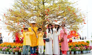 Những khoảnh khắc đưa Cần Giờ 'chiếm sóng' mùa Valentine và Tết đoàn viên