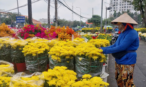 Chợ hoa ngày 28 Tết: Hoa giá vài chục nghìn đồng, bao nhiêu khách cũng mua hết