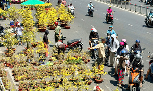 Hết hàng sớm, chợ hoa Tết TP.HCM không còn cảnh đập bỏ hoa 