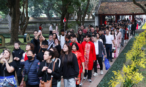 Người dân nườm nượp đổ về Văn Miếu xin chữ đầu năm