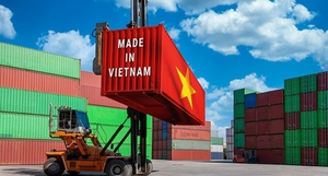 Nhiều kỳ vọng trong quan hệ Việt Nam - Hoa Kỳ về kinh tế và thương mại