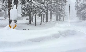 Lở tuyết ở Mỹ, 8 người thiệt mạng