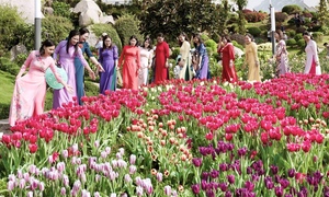 Đầu năm lên núi Bà Đen check-in với vườn hoa tulip rực sắc