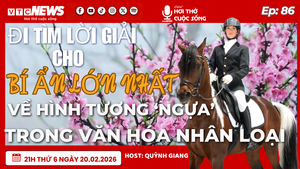 Podcast: Đi tìm lời giải cho bí ẩn hình tượng ngựa trong văn hóa nhân loại