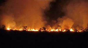 Gần 140 người dập tắt đám cháy ở Khu bảo tồn Phú Mỹ tại An Giang