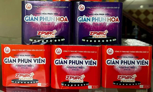 Chính phủ cho phép doanh nghiệp thuộc Bộ Công an sản xuất pháo hoa nổ