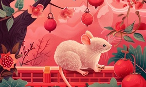 Tử vi tuổi Bính Tý năm 2026 nam mạng