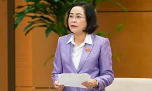 Bộ Chính trị yêu cầu bầu đủ số lượng đại biểu Quốc hội và đại biểu HĐND