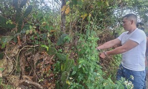 Bắt giữ kẻ 'cõng' 4 tiền án đi cướp vàng của người phụ nữ ở Đà Nẵng