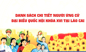 Danh sách 18 người ứng cử đại biểu Quốc hội khóa XVI tại tỉnh Lào Cai