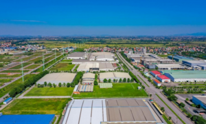 Doanh nghiệp Việt tăng tốc bằng nội lực