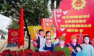 Danh sách 29 người ứng cử Đại biểu Quốc hội khóa XVI tại Thanh Hóa