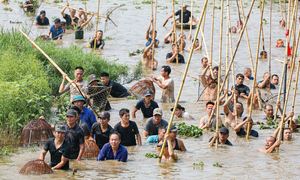 Người dân ngoại thành Hà Nội hò reo dập sào bắt cá trên sông Tích Giang