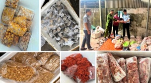 Phát hiện, thu giữ 4 tấn thực phẩm không rõ nguồn gốc tại Thanh Hóa
