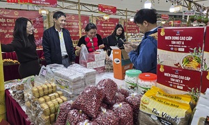 Thương hiệu quốc gia được nâng tầm sau hội chợ mùa Xuân 2026