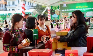 Doanh nghiệp nuôi kỳ vọng lớn sau hội chợ mùa Xuân 2026