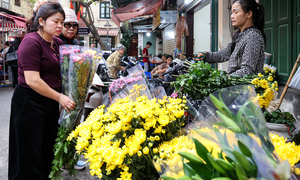 Giá hoa tươi tăng mạnh trong ngày rằm tháng Giêng