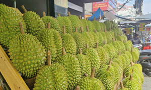 Nghịch lý giá sầu riêng, hàng cao cấp rẻ hơn loại phổ thông