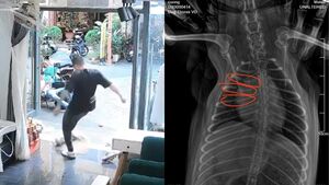 Clip du khách nước ngoài đá gãy xương chú chó ở Đà Nẵng khiến dân mạng phẫn nộ