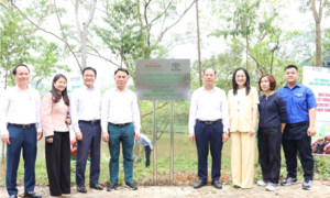 Toyota Việt Nam 7 năm liên tiếp đồng hành cùng 'Tết trồng cây'