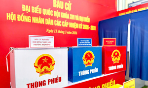 Dân chủ trong bầu cử: Nhìn từ quyền lựa chọn và quyền được lựa chọn