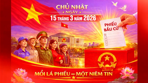 Hướng dẫn chi tiết bầu Đại biểu Quốc hội và HĐND các cấp