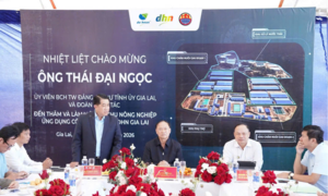 DHN Gia Lai vận hành sớm 10 tháng, mở rộng chuỗi chăn nuôi hiện đại