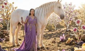 Tử vi tuổi Bính Ngọ 1966 nữ mạng năm 2026