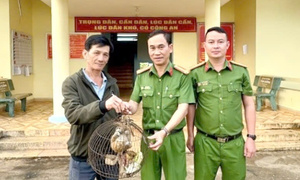 Dọn nhà, người đàn ông ở Lâm Đồng phát hiện con vật có tên trong sách đỏ