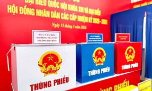 Tự ứng cử ĐBQH: Thước đo độ mở của nền dân chủ