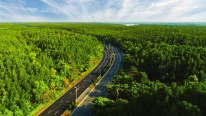 VnExpress Marathon Green Paradise Cần Giờ - Hành trình vạn bước chạy tại TP.HCM