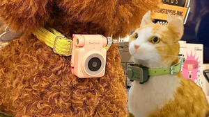  Cuộc đua smartphone tại MWC 2026